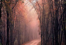 熊猫体育：33岁J罗无缘世俱杯！莱昂被FIFA排除出世俱杯，切尔西所在组剩3队.