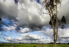 郑钦文0-2不敌萨巴伦卡 无缘晋级四强3-26 10：20.